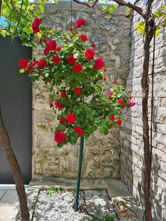 Villa Big Valley Krizisce 크로아티아